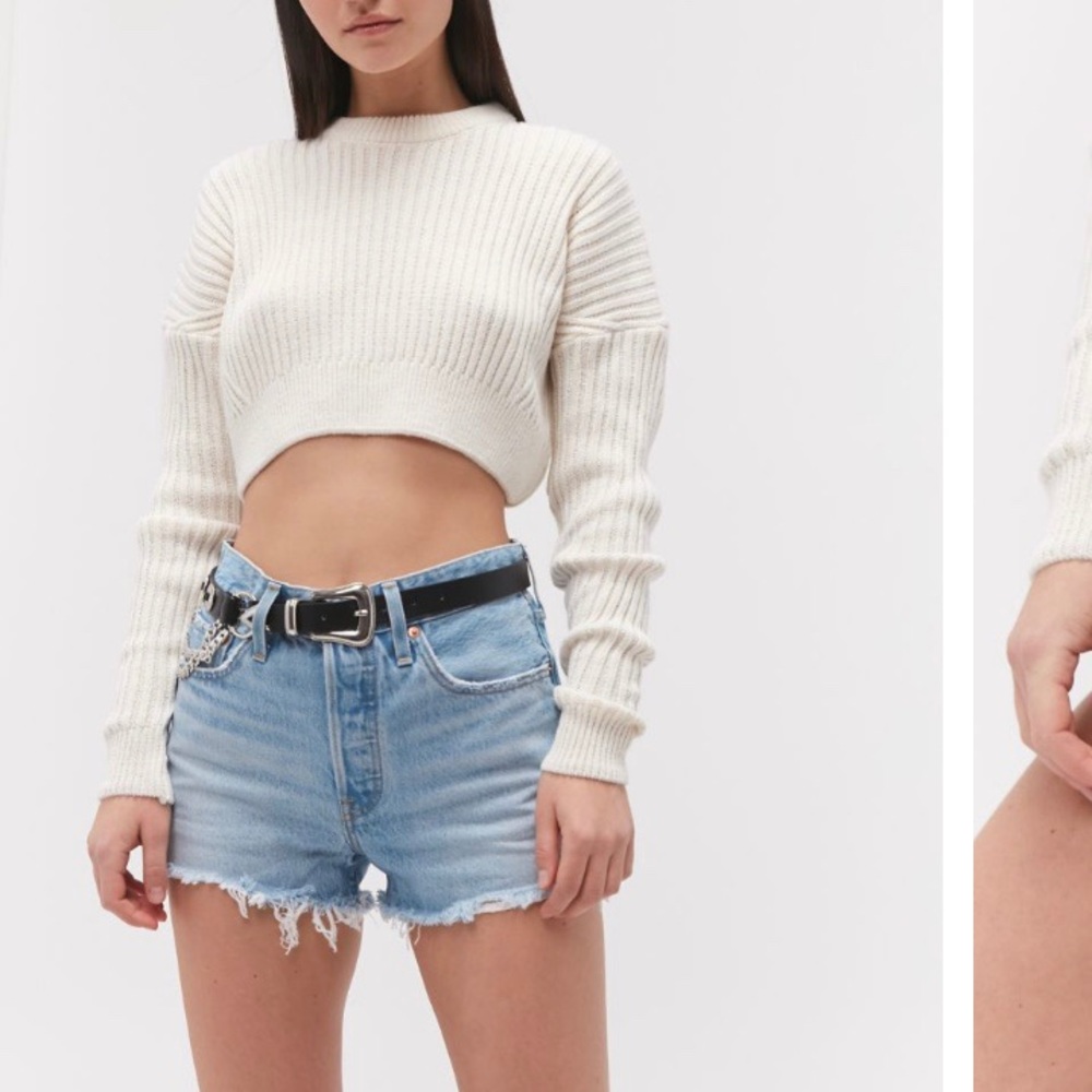 Levi’s NWT Sz 27 501 high waisted shorts